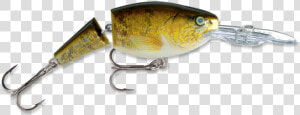 Write A Review   Rapala Jointed Shad Rap  HD Png Download