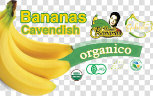 Saba Banana  HD Png Download