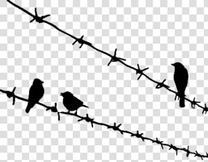 Bird Png Download   Birds Sitting On Wire Tattoo  Transparent Png