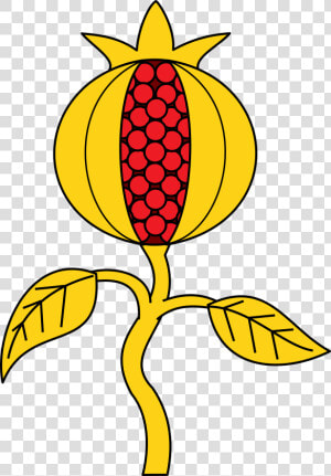 Botany plant flower   Pomegranate Coat Of Arms  HD Png Download