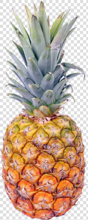 Pinapple Fruit Black Background  HD Png Download