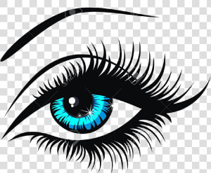 Human Eye Eyes Clipart Png Download Cartoon Eye    Human Eye Clip Art  Transparent Png
