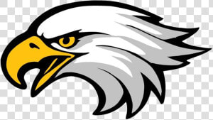 Eagle Clipart Free Best On Transparent Png   Clip Art Eagle Head  Png Download