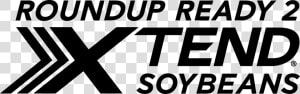 Soybeans Png  Transparent Png