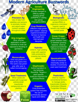 Apple With Worm   Png Download   Agriculture Buzzwords  Transparent Png