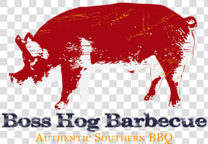 Barbecue Clipart Southern Bbq  HD Png Download