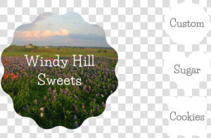 Picture   Ridge  HD Png Download