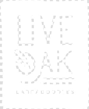 Live Oak Labradoodles 2   Calligraphy  HD Png Download