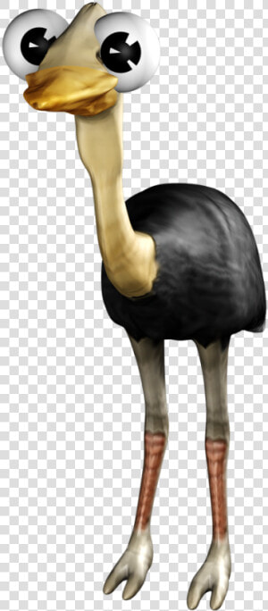 Strauß Png  Transparent Png