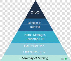 Hierarchy Of Nursing   Triangle  HD Png Download