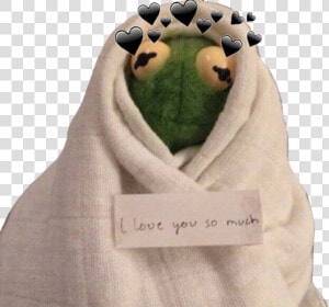 Transparent Kermit Png   Kermit In A Blanket  Png Download