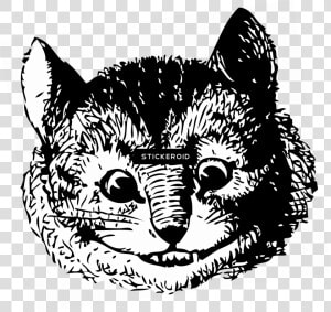 Transparent White Cat Png   Original Alice In Wonderland Cheshire Cat  Png Download