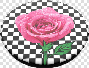 Sk8r Grl  Popsockets   Vans Purple Checkered Hoodie  HD Png Download