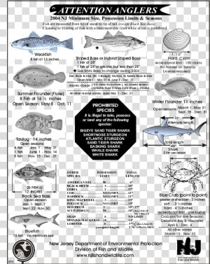 2018 Nj Fishing Regulations  HD Png Download