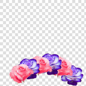  flower Crown  pink  purple  cute  pretty  beautiful   Garden Roses  HD Png Download