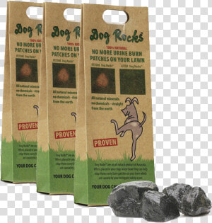 Pet Urine Burn Grass  HD Png Download