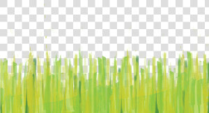 Hierochloe  HD Png Download