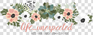 Transparent Floral Header Png   African Daisy  Png Download