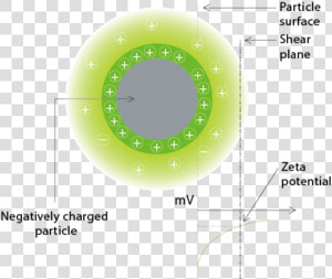 Limit Of Zeta Potential  HD Png Download