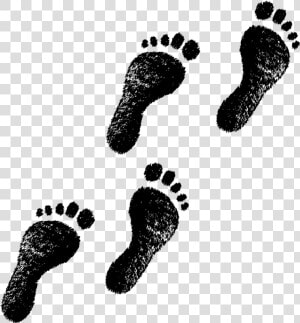 Transparent Walking Footprint Clipart   Footprint Png  Png Download