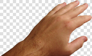 Hands Png Image   Hands Pushing Png  Transparent Png
