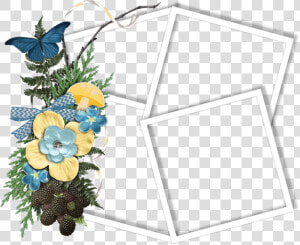 Cluster Frame 800 X   Frame Cluster Png  Transparent Png