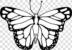 Butterfly Clipart Coloring Worksheets Transparent Png   Clipart Image Of A Butterfly  Png Download