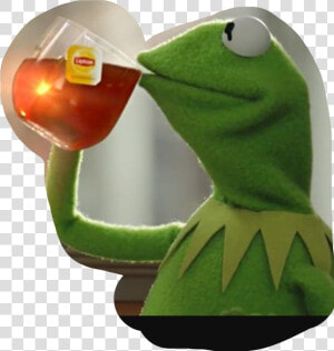 Tea Kermit Kermitmemes Freetoedit   Everyones Getting Engaged Meme  HD Png Download