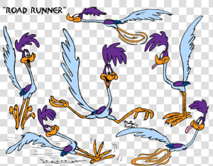 Transparent Road Runner Clipart   Looney Tunes Road Runner Daffy  HD Png Download