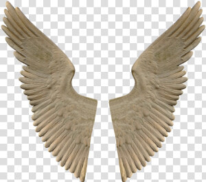 Wing  Monument  Marble  Sculpture  Angel  Angel Wings   Stone Angel Wings Png  Transparent Png