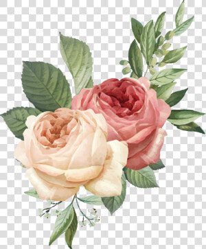 Floribunda  HD Png Download