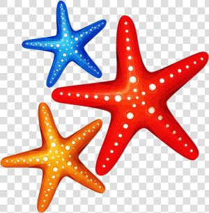 Starfish Ocean Safari Colorful Transparent Png   Under The Sea Starfish Cartoon  Png Download