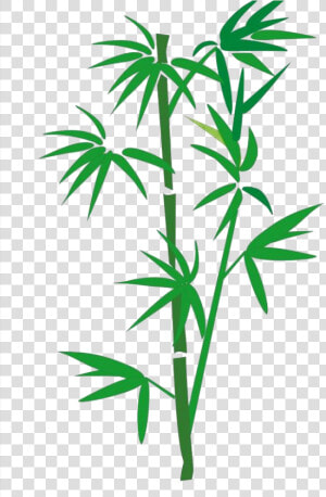 Bamboo Png Download   Transparent Bamboo Cartoon  Png Download