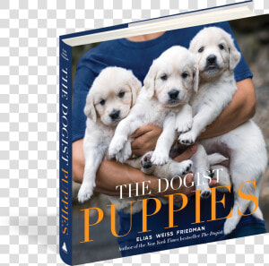 Cover   Dogist Puppies  HD Png Download