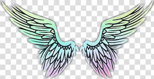  wings  angel  flügel  engel  engelflügel  schön  beautiful  HD Png Download