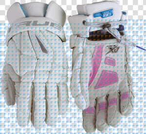 Equestrian Glove  HD Png Download