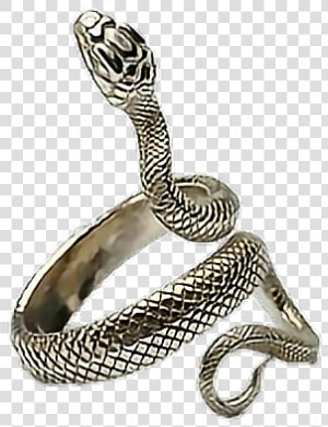  aesthetic  png  polyvore  jewelry  jewellery  ring   Snake Ring Aesthetic  Transparent Png