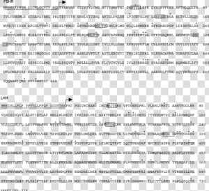 Screenshot  HD Png Download
