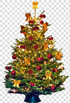 Kerstboom  HD Png Download