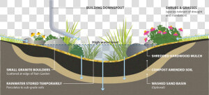 Rain Garden Cross Section  HD Png Download