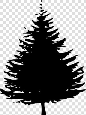 Pine Tree Silhouette Png   Png Download   Pine Tree Silhouette Black  Transparent Png