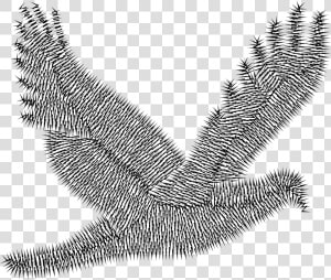 Abstract Peace Dove Clip Arts   Clip Art  HD Png Download