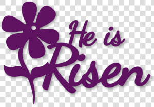 He Is Risen   He Is Risen Transparent Background  HD Png Download