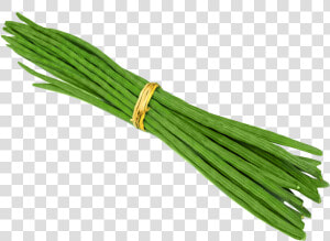 Vegetable Png Images   Drumstick Vegetable Png  Transparent Png