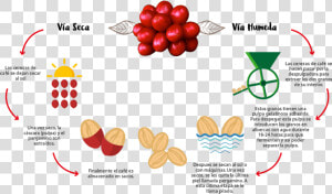 Proceso  HD Png Download