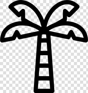 Palm Tree   Palm Tree Icon Transparent Png  Png Download