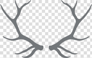 Clipart Free Download Antlers Transparent Black And   Transparent Background Antler Clipart  HD Png Download