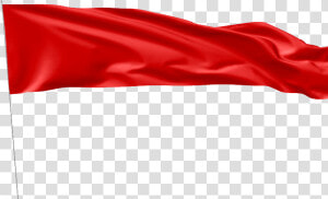 We Will Not Comply Rally Colorado Lesley Hollywood   Red Flag Flying Png  Transparent Png