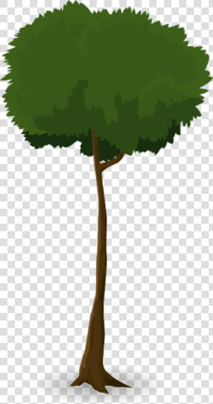 Tree Trunk Nature Leaves Branches Graphic Organic   Trunk  HD Png Download