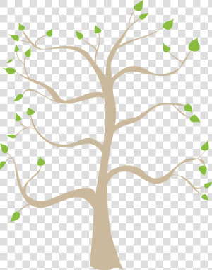 Family Tree Coloring Pages Printable Free Family Tree   Family Tree Tree Transparent Background  HD Png Download